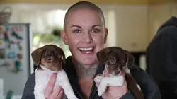 Amanda à la rescousse S01E03 Avalanche de chiots