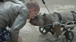 Amanda à la rescousse  S01E06 Mission Porto Rico