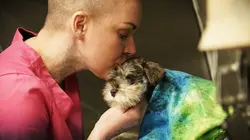 Amanda à la rescousse Professeur Clovis et le voleur de hamburger