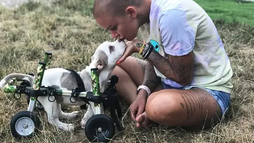 Amanda à la rescousse S02E09