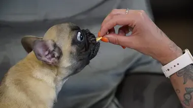 Amanda à la rescousse