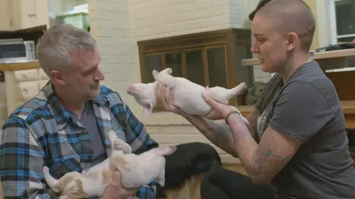 Amanda à la rescousse S01E05 Un foyer pour chiots aveugles