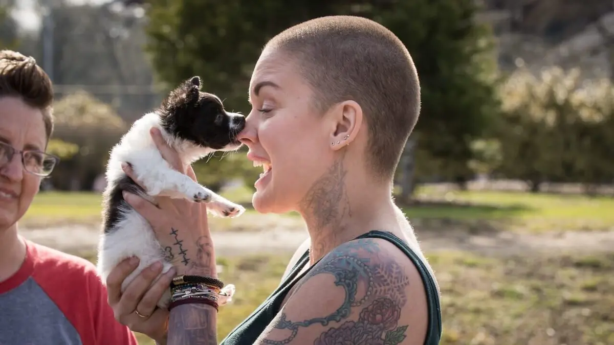 Amanda à la rescousse Professeur Clovis et le voleur de hamburger