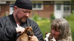 Amanda à la rescousse  Un œil en moins, l'amour en plus