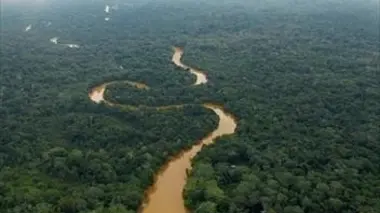 Amazone, dans les eaux troubles du fleuve