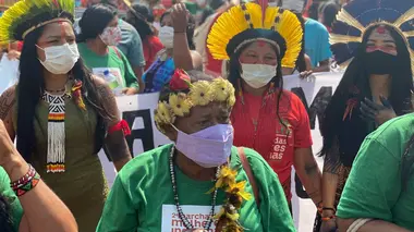 Amazonie : c'est la forêt qu'on assassine