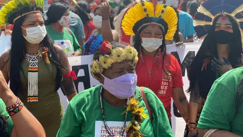 Amazonie : c'est la forêt qu'on assassine