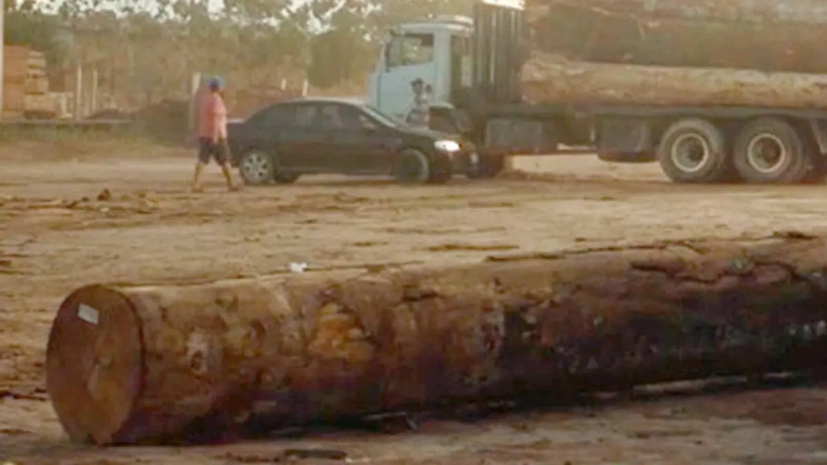 Amazonie - Enquête au coeur des luttes indigènes