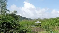 Visuel de Amazonie française