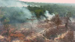 Amazonie, la maison brûle
