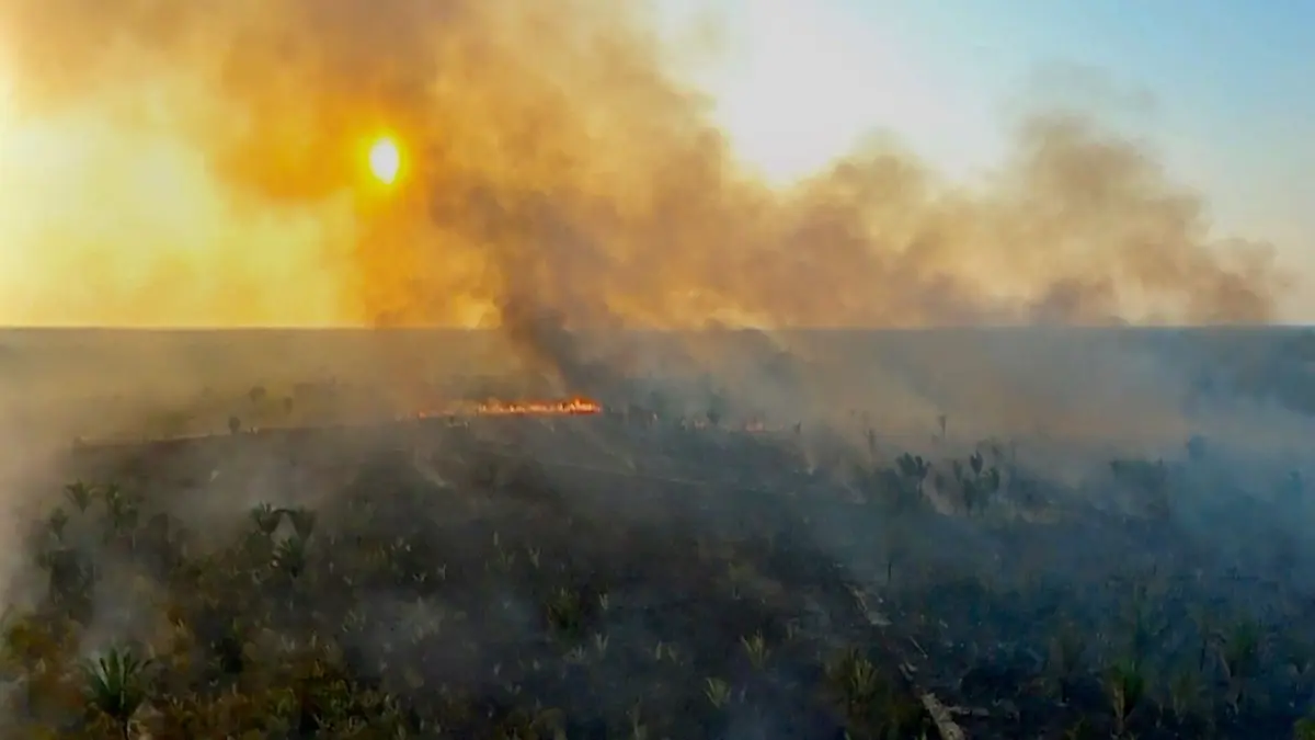 Amazonie, mort imminente