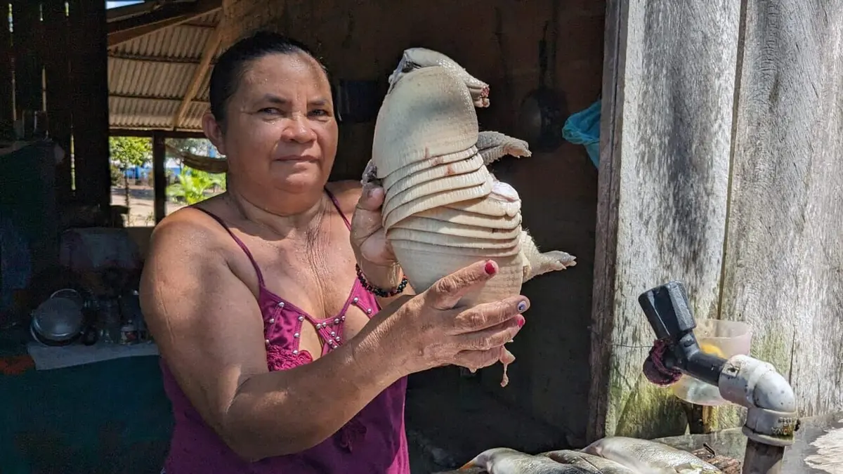 Amazonie, nourrir le lien à la terre