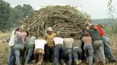 American Commune : un paradis hippie