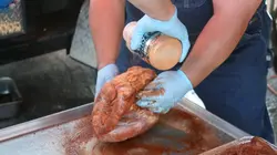 American Grill  Le championnat de barbecue en Géorgie