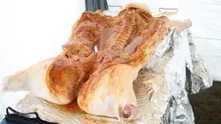 American Grill Géorgie : le Big Pig Jig