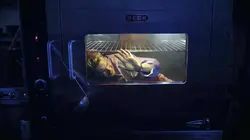 American Horror Story S09E05 1984 : L'aube sanglante