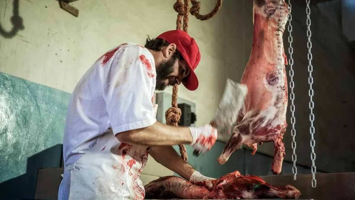 Visuel de American Monster Apparences trompeuses