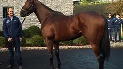 Visuel de American Pharoah, le grand chelem