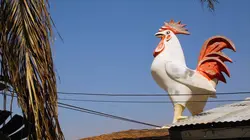 American Pickers, la brocante made in USA  S13E09 Slam Dunk Junk