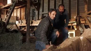American Pickers, la brocante made in USA S07E03 Fou comme un dénicheur