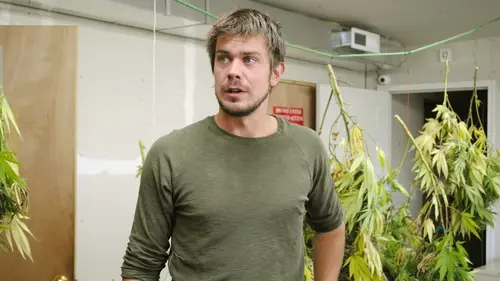 American Weed Le jour du scrutin