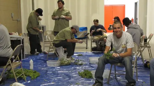 Casting American Weed L'herbe des Rocheuses