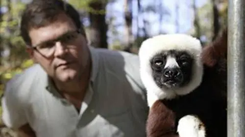 Amérique du Nord : la naissance d'un continent E02 La vie