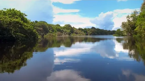 Amérique du Sud, sur la route des extrêmes S01E02 L'Amazone