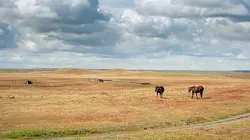 Amérique du Sud, sur la route des extrêmes