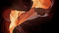 Visuel de Amérique sauvage