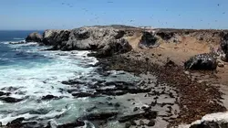 Visuel de Amériques indomptées
