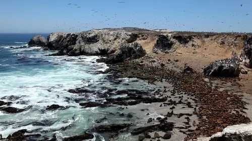 Amériques indomptées Les côtes