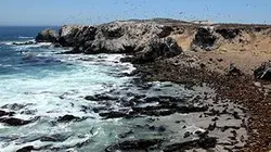 Visuel de Amériques indomptées