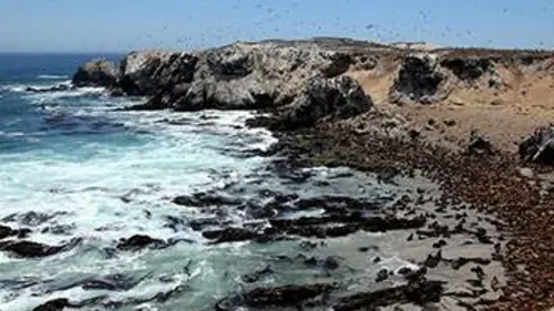 Amériques indomptées E03 Les côtes