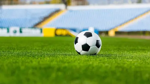 Amos Women's French Cup