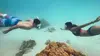 Amour à Tahiti