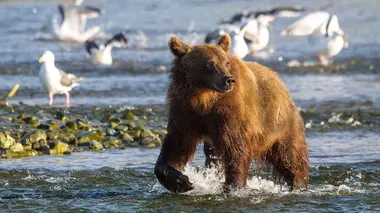 Aux confins de l'Extrême-Orient