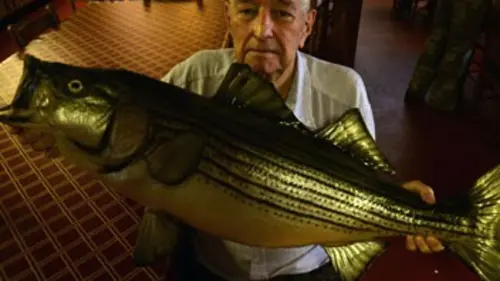 Amsterdam Stories USA E02 South