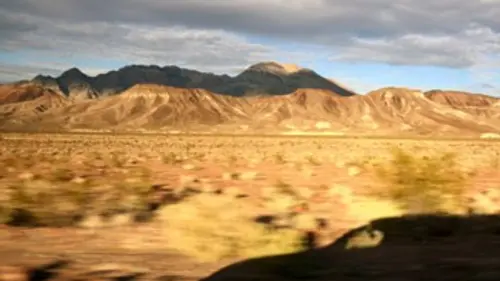 Amsterdam Stories USA