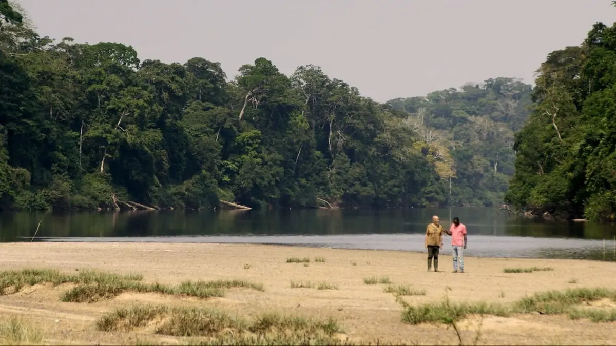 Anamocot : La réponse de la mygale
