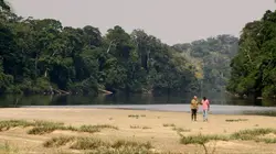 Anamocot : La réponse de la mygale