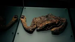 Ancient Bodies : Secrets Revealed L'homme de Croghan