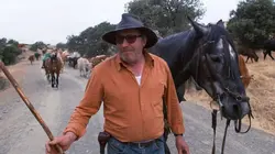 Andalousie, la tradition de la transhumance