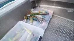 Andorja, les défis d'un pêcheur