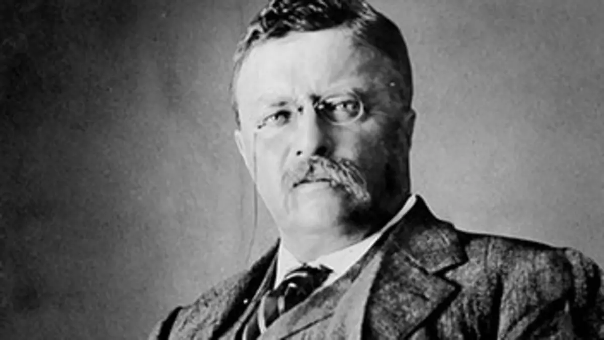 Andrew Carnegie : Rags to Riches, Power to Peace
