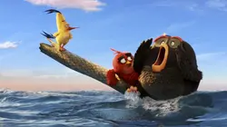Audiences TV : Angry Birds : le film