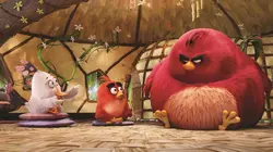 Visuel de Angry Birds : le film