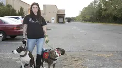 Animal Angels Trafic de chiots