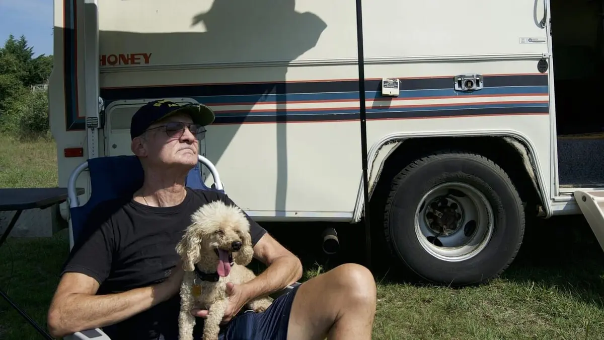 Animal Angels Surveillance