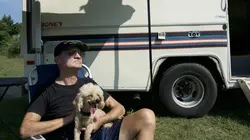 Animal Angels Surveillance